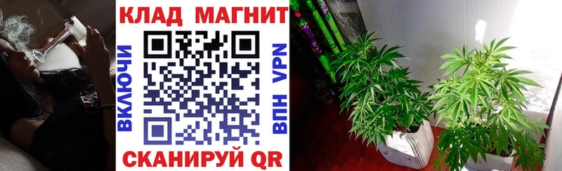 Как найти закладки Чайковский Alpha PVP МЕФ ГАШИШ COCAIN