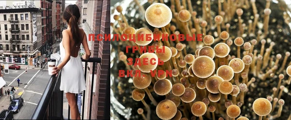 круглые Майский