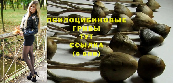 дживик Зеленодольск