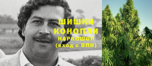 крисы Магадан