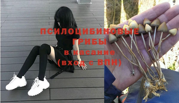 круглые Майский